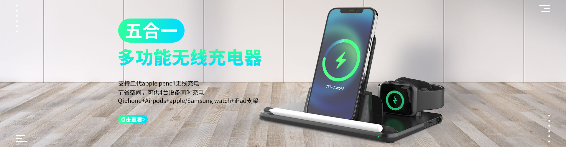 charging cable RAYCCI